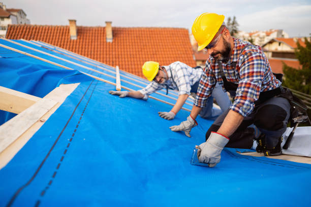 Quick and Trustworthy Emergency Roof Repair Services in Tinley Park, IL